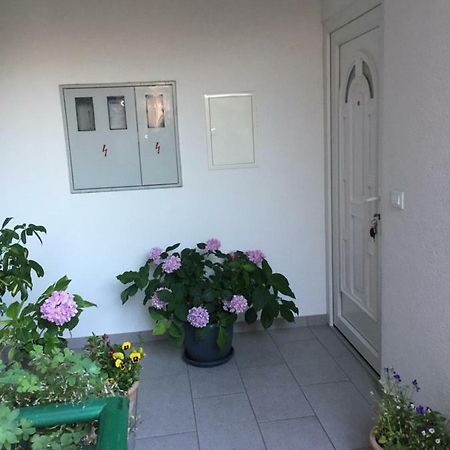 Apartamento Masa Šibenik Exterior foto